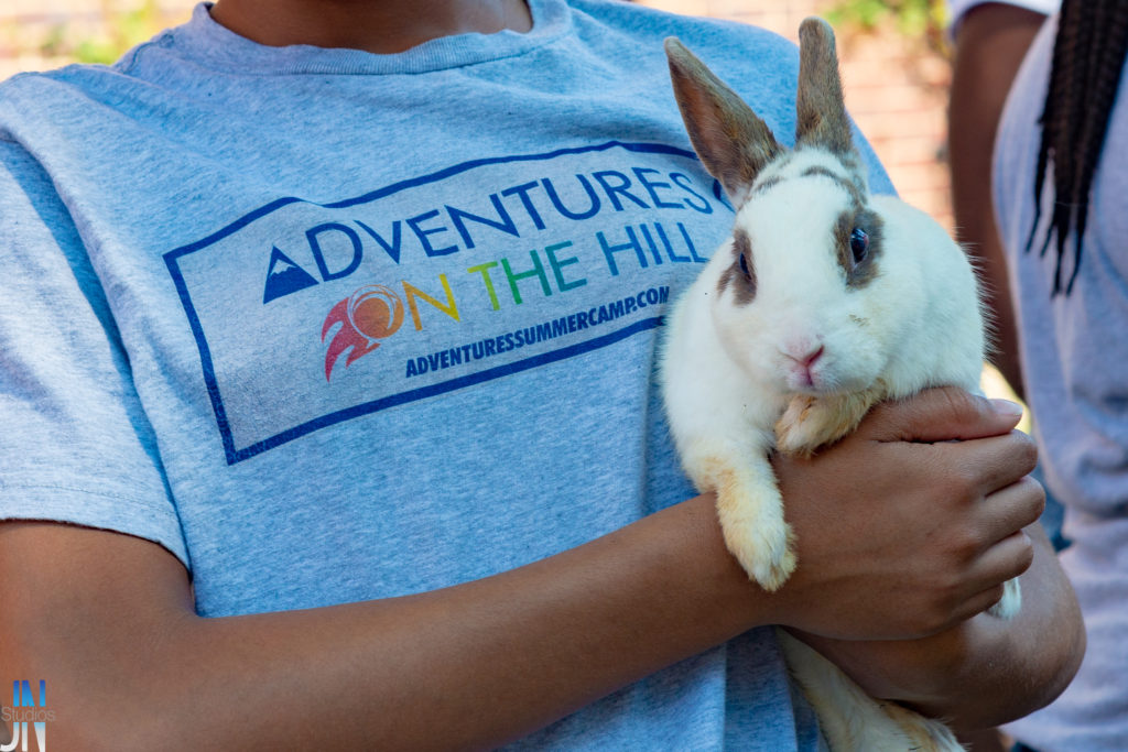 Week 3: Animal Planet - Adventures On The Hill Summer Camp Capitol Hill  Washington DC