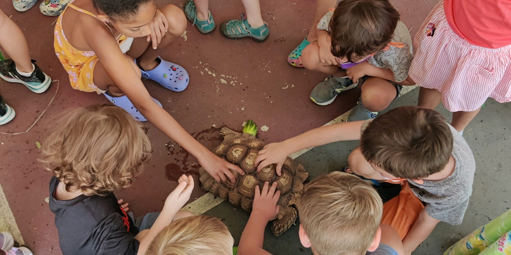 AdventuresOnTheHill20